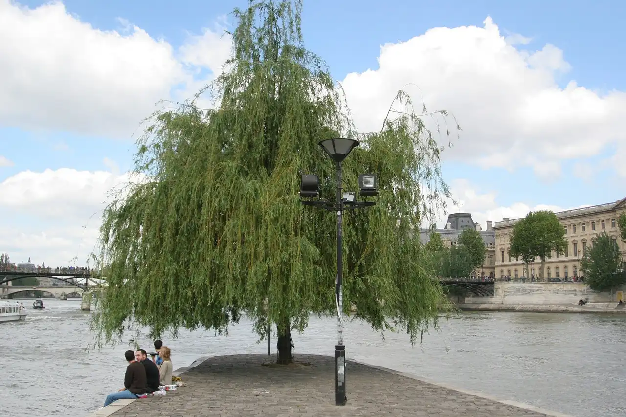 Square du Vert-Galant