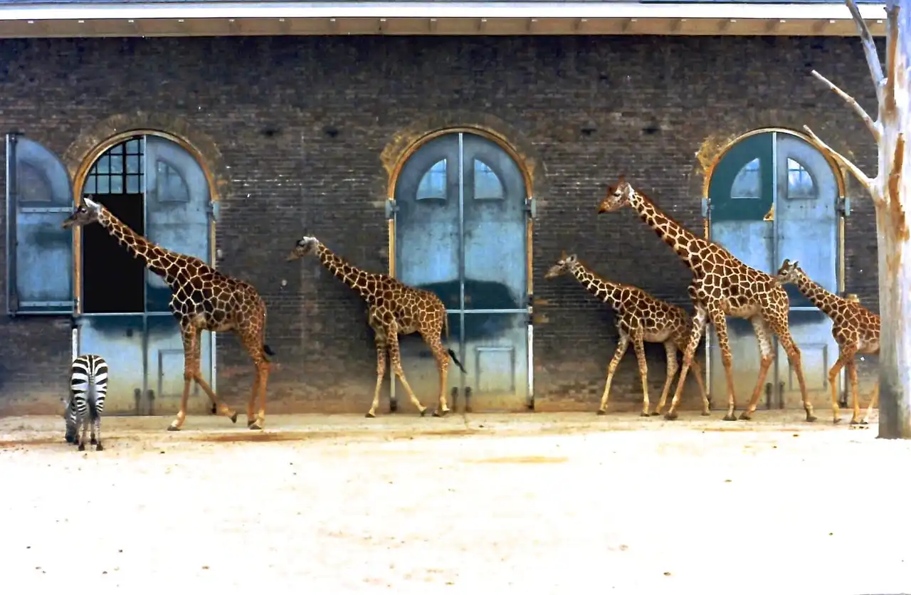 Londoner Zoo, Reptilienhaus