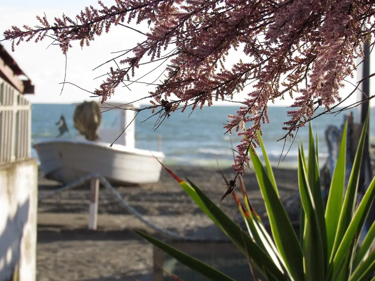 Praia de Passoscuro