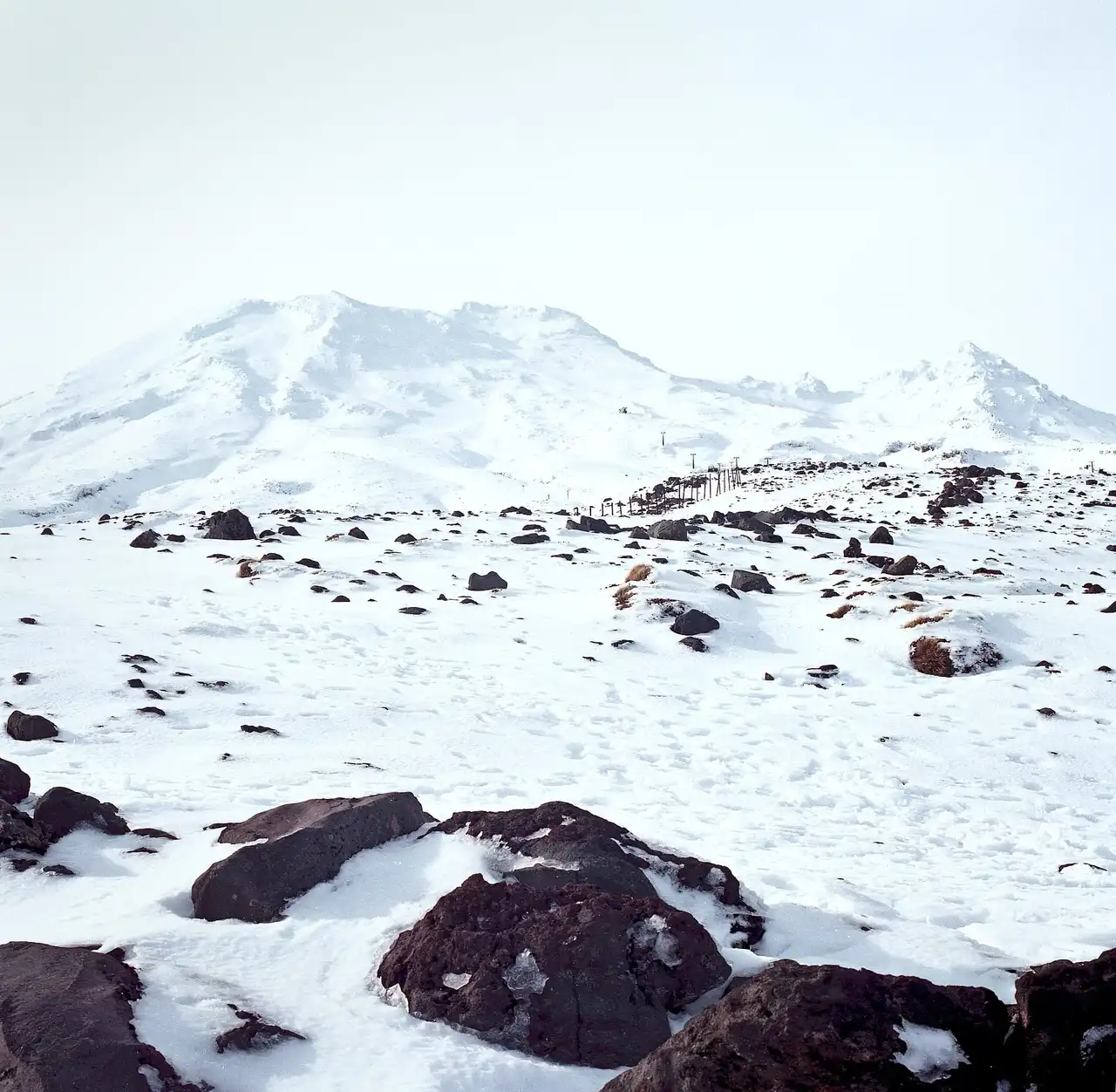 Tūroa (Mount Ruapehu)