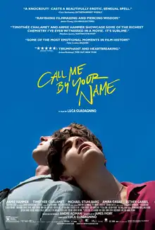 Cartel de Call Me by Your Name